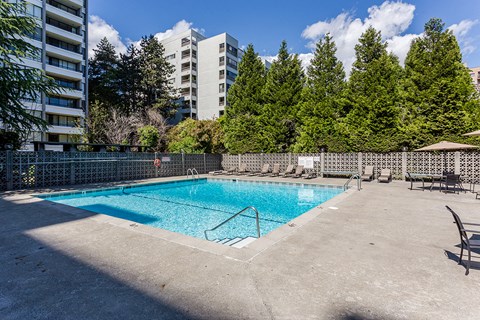 A small pool surrounded by a concrete patio and trees.