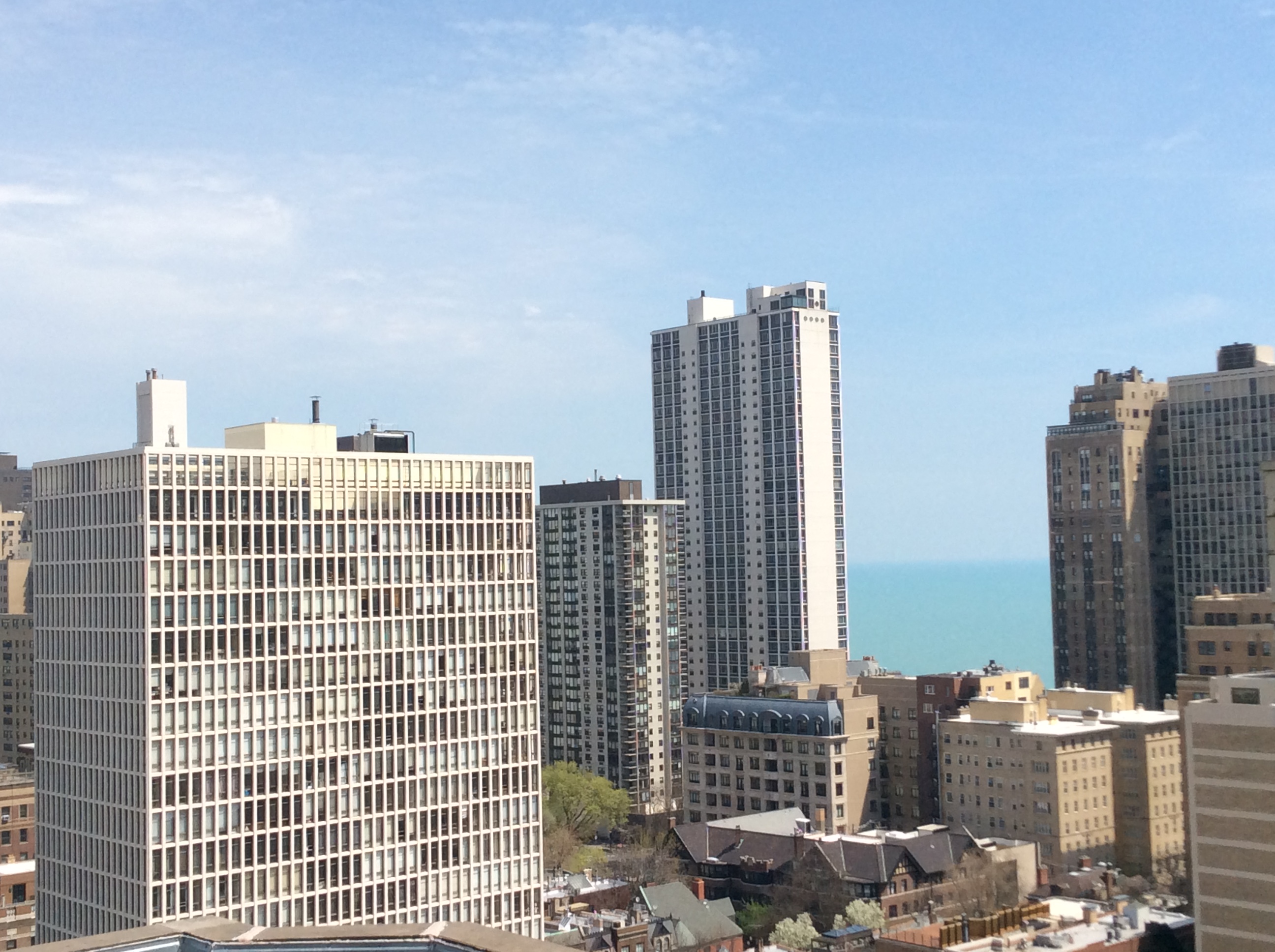 Downtown Chicago, IL Apartments | 14 West Elm Apartments