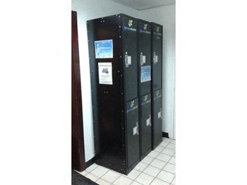 Greener Cleaner at 14 West Elm Apartments, Chicago, 60610