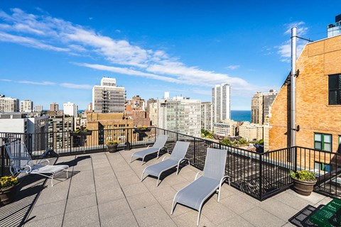 Roof Deck and Entertainment Bar at 14 West Elm Apartments, Illinois, 60610