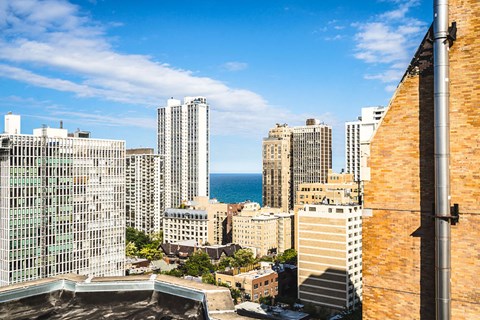 Lovely City View at 14 West Elm Apartments, Chicago, 60610