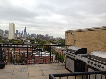 Stainless Steel Gas Grills at Park View Apartments, Illinois