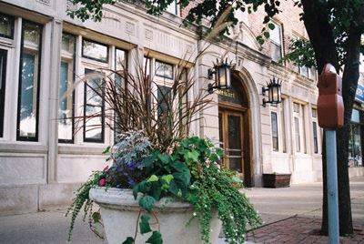 a large planter with flowers and plants in front of a building