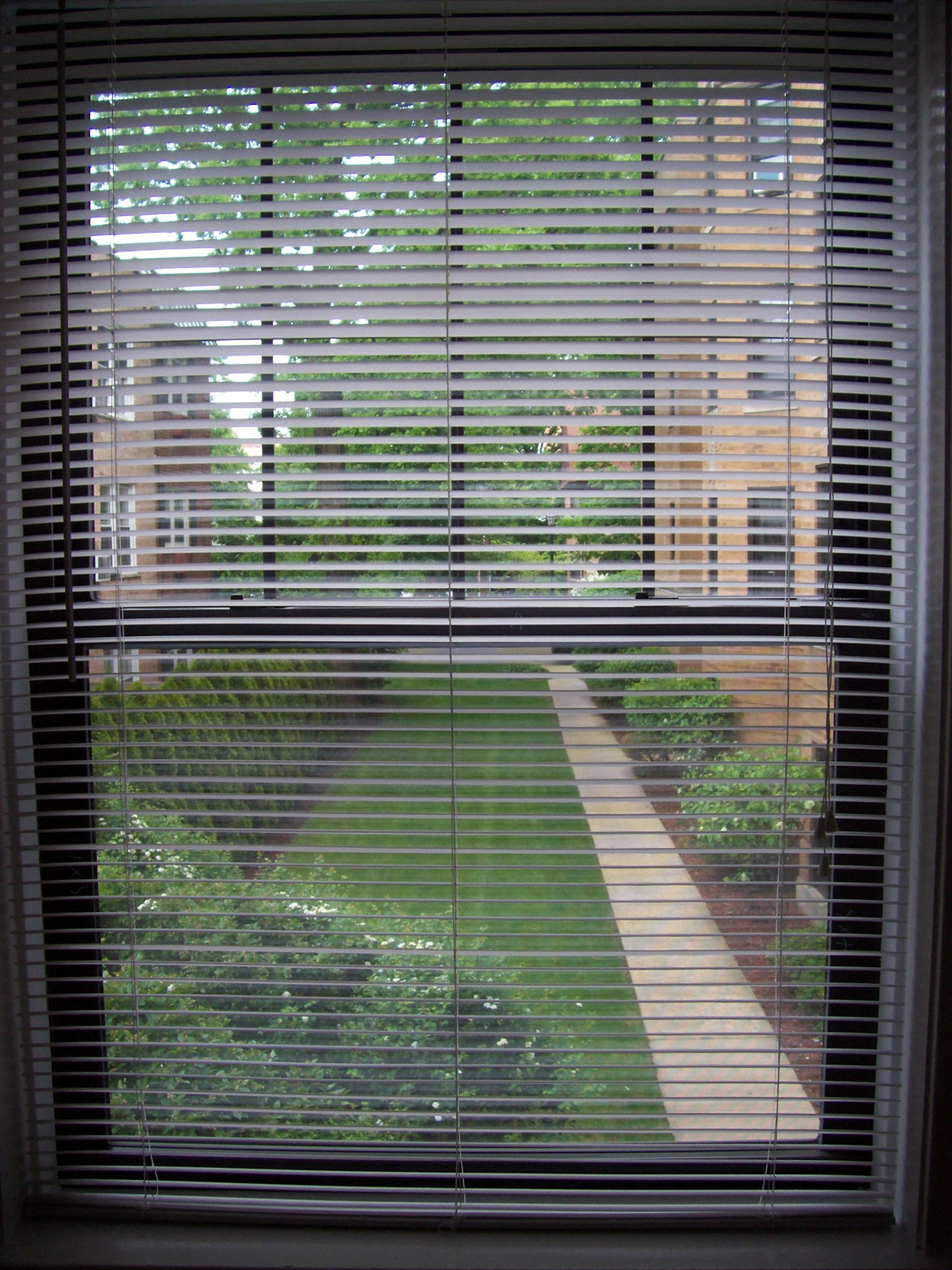 East Front Yard View