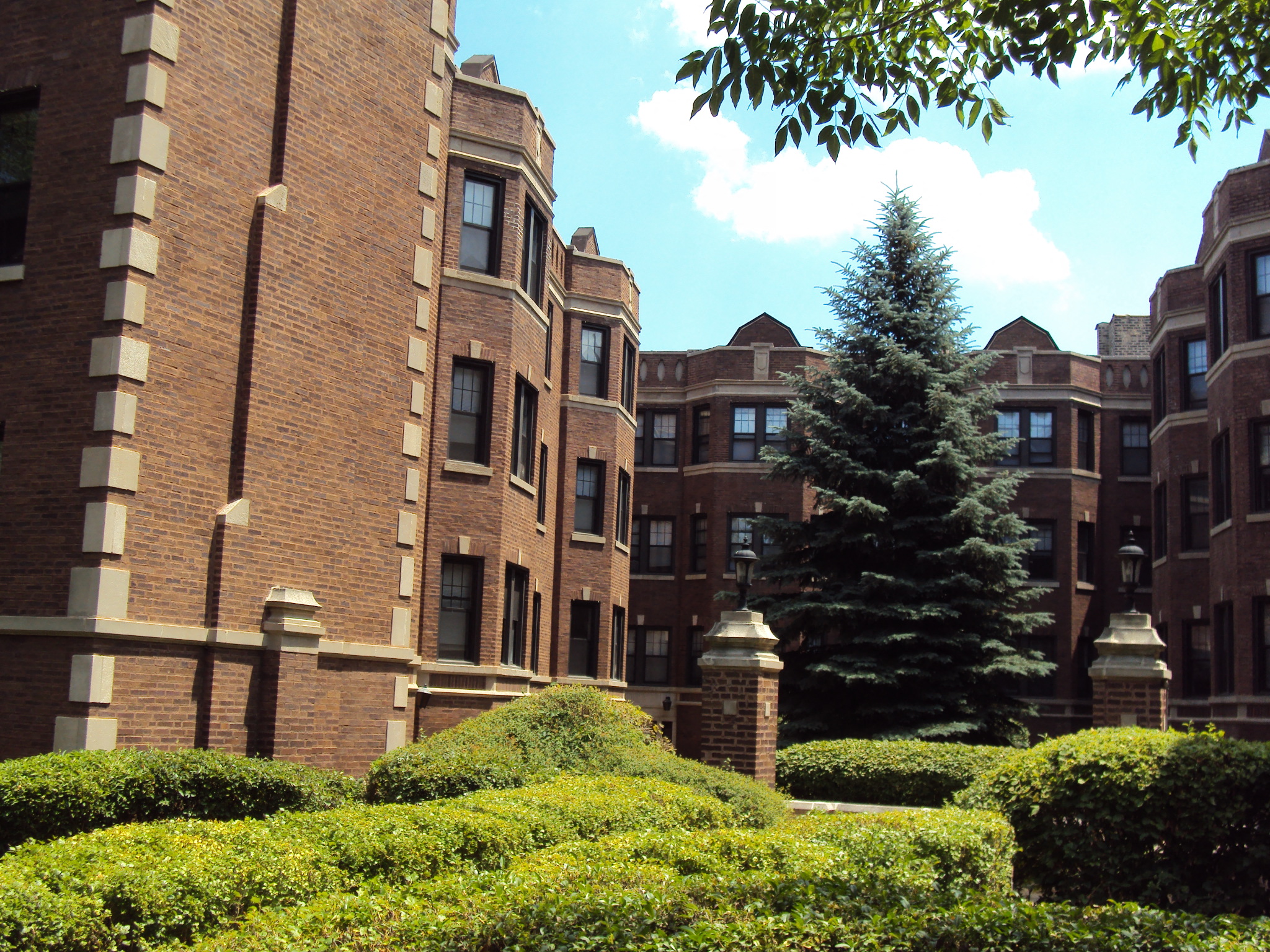 Beautiful Lush Green Courtyard