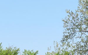 The Arbors Apartments | Apartments in Rockford, IL