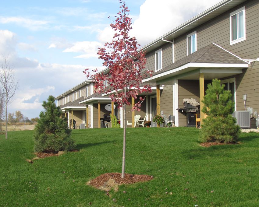 a red tree in a yard in front of a house
