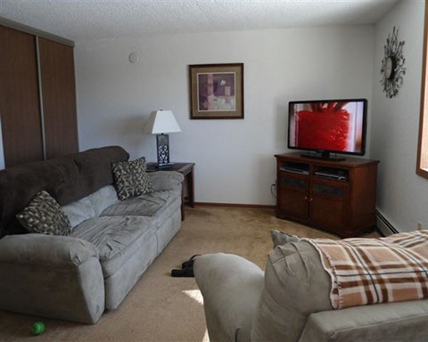a living room with two couches and a television