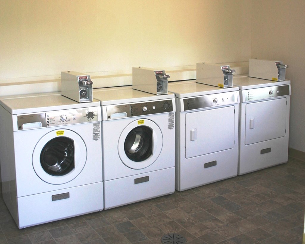 a group of washers and dryers in a laundry room