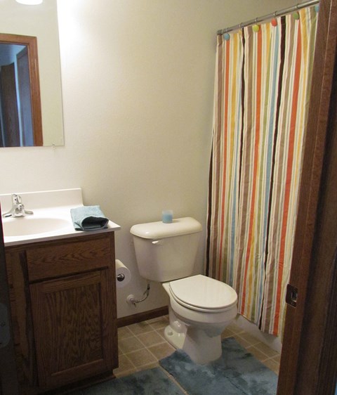 A white toilet sits next to a sink in a bathroom.