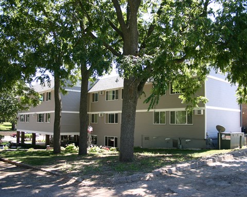 the back of the house with trees in the yard