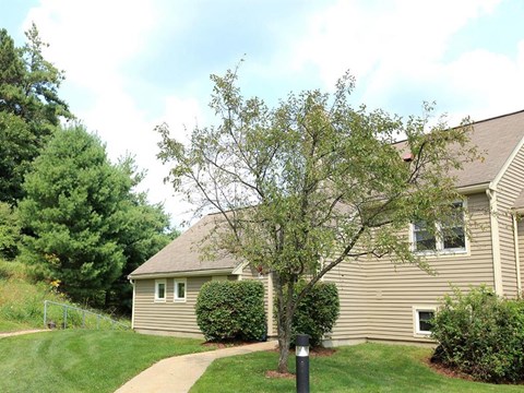 a house with a tree in front of it