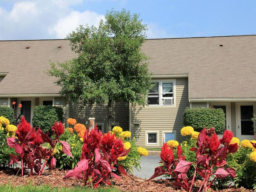 a house with a colorful garden in front of it