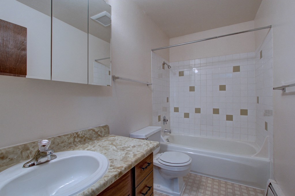 a bathroom with a sink toilet and a bath tub