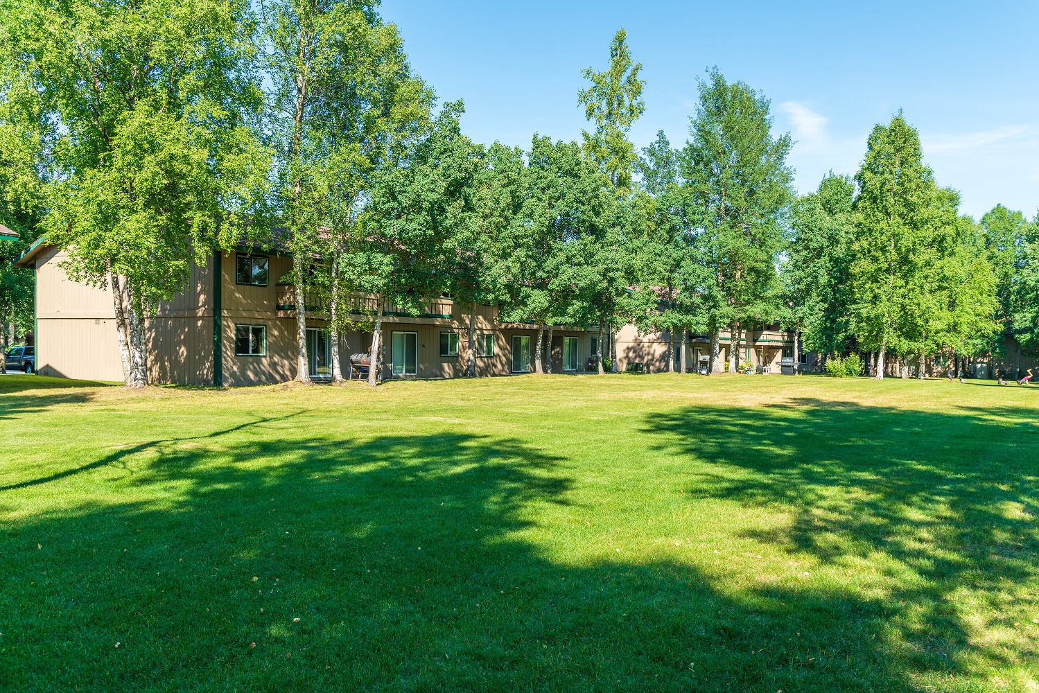 a large yard with trees in front of some houses