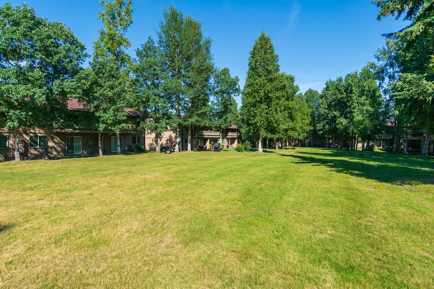 a large yard in front of a house with trees