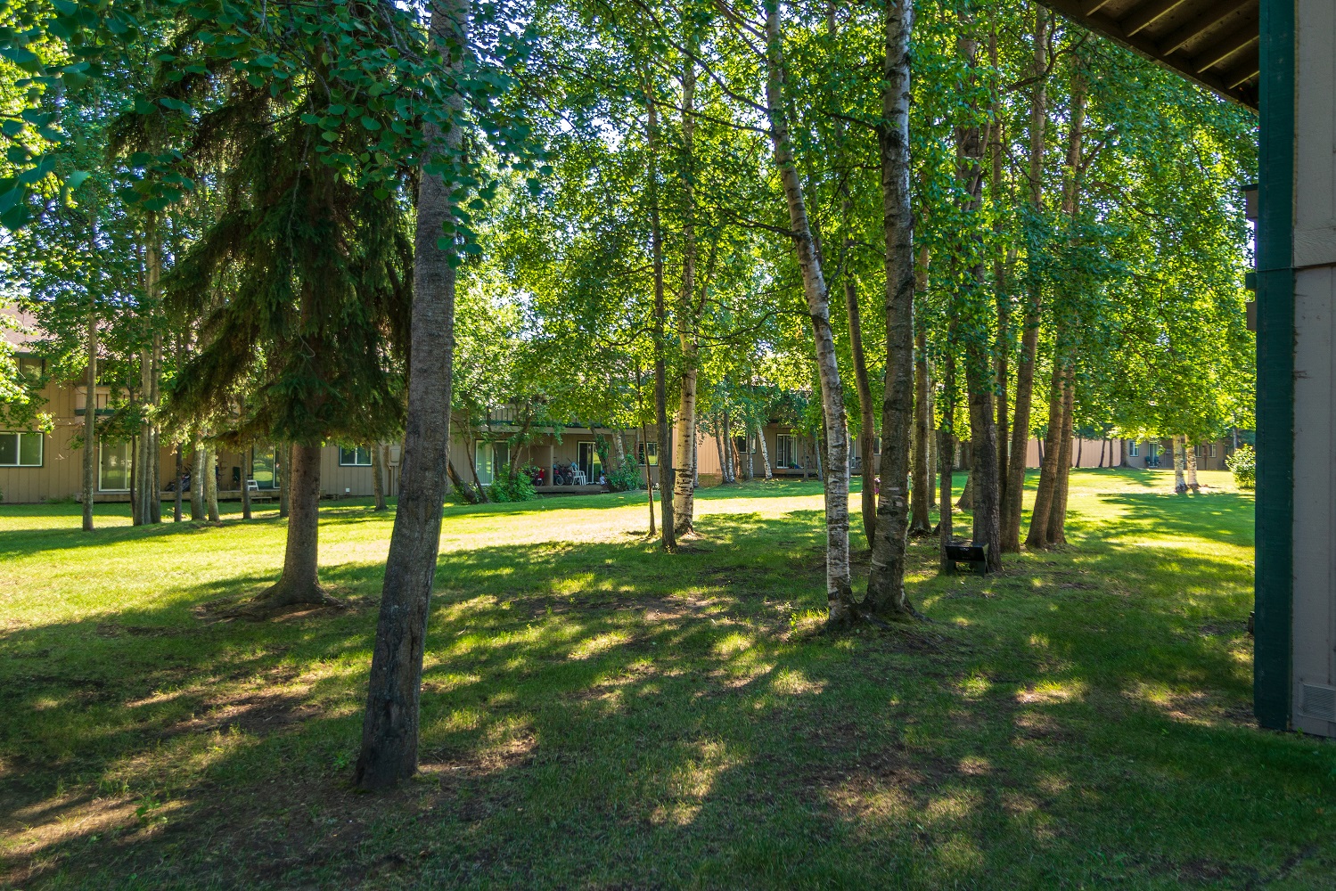 a yard with trees and grass in front of a building