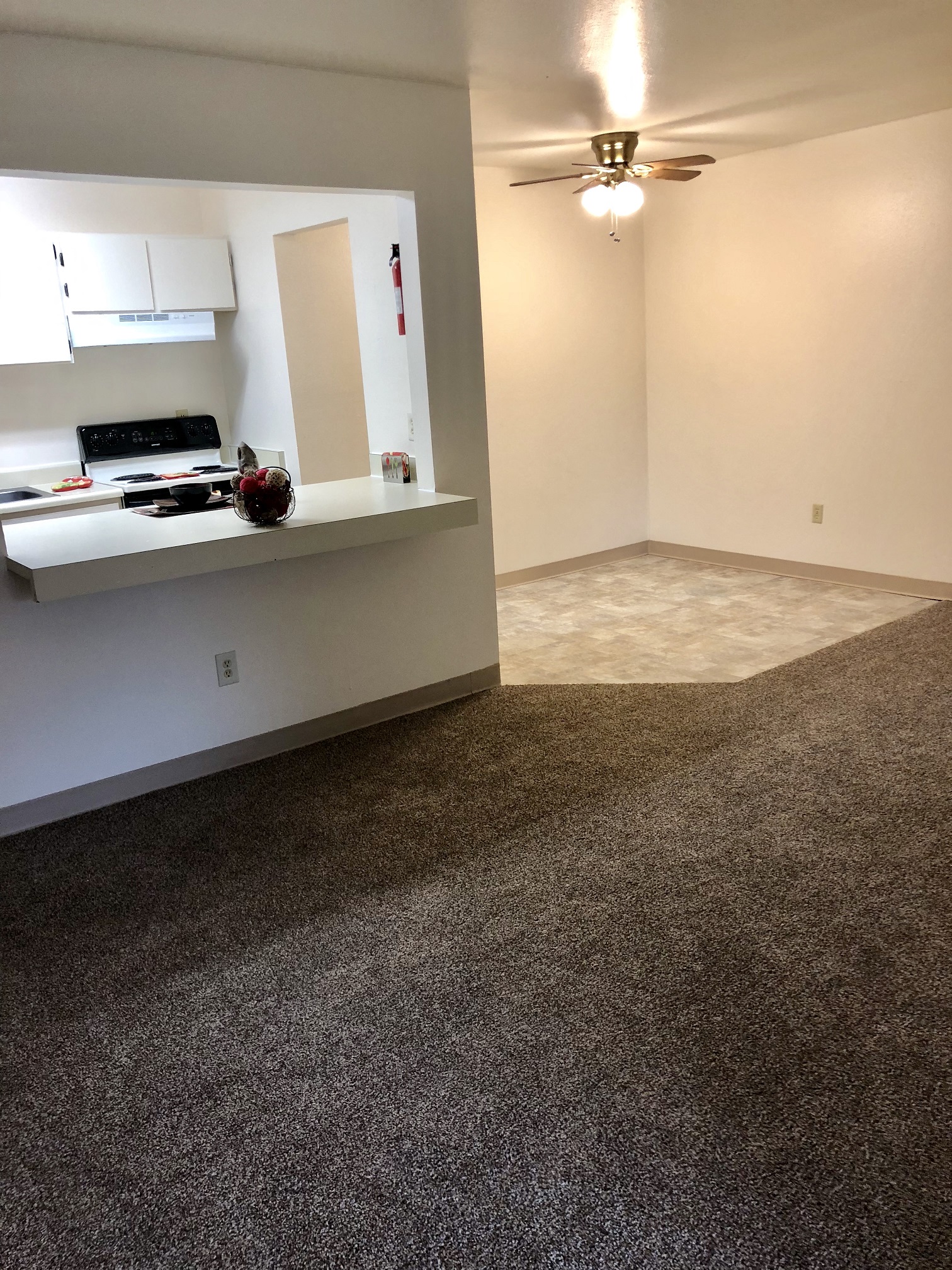 an empty living room with a kitchen and a carpeted floor