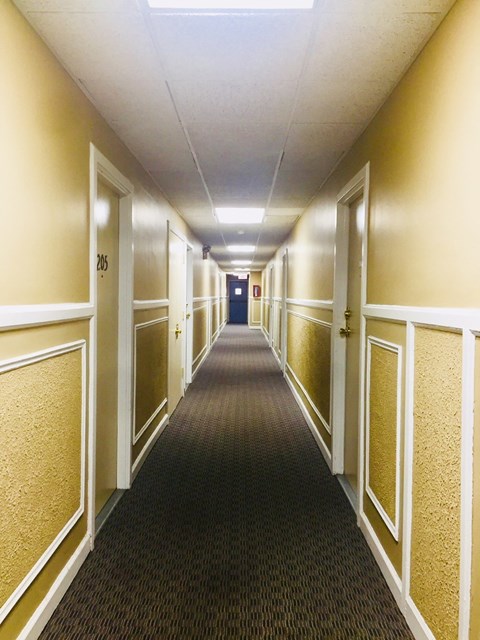 a hallway with doors and a carpeted floor and a blue door at the end