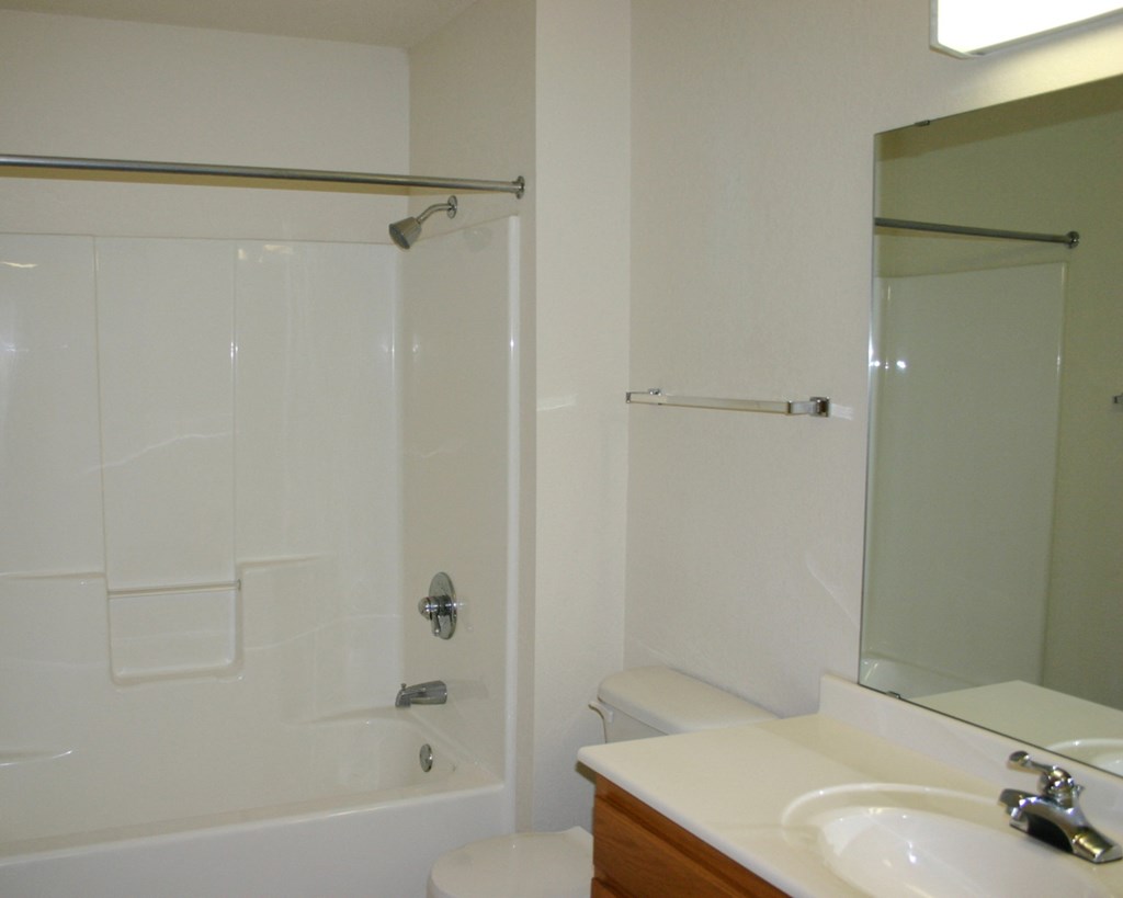 a bathroom with a shower and a sink and a mirror