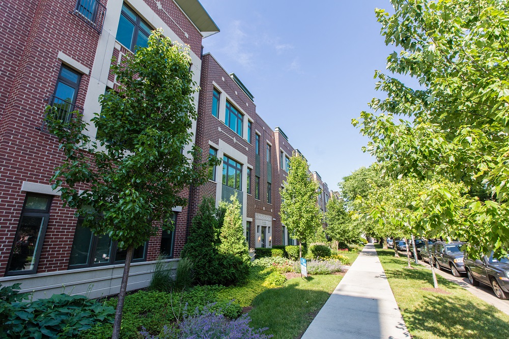 a tree lined sidewalk in front of a brick building
