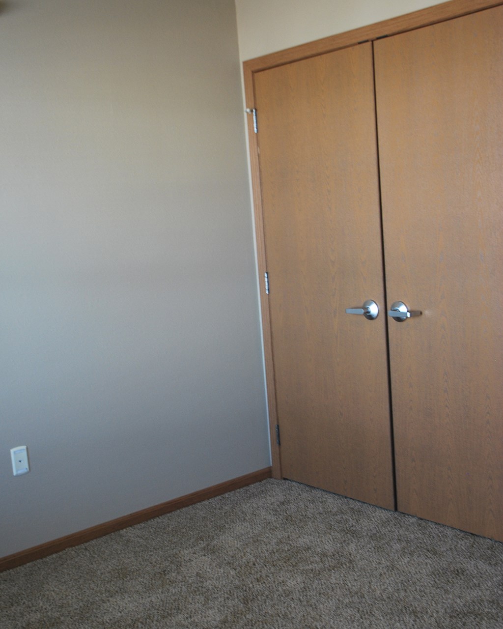 a closet with two doors and a carpeted floor