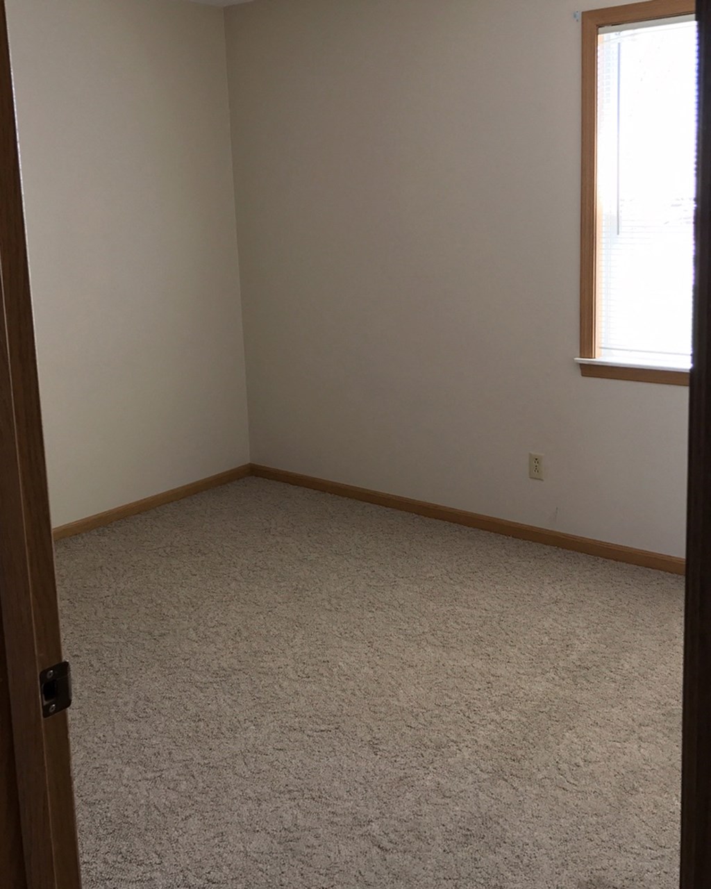 an empty room with white carpet and a window