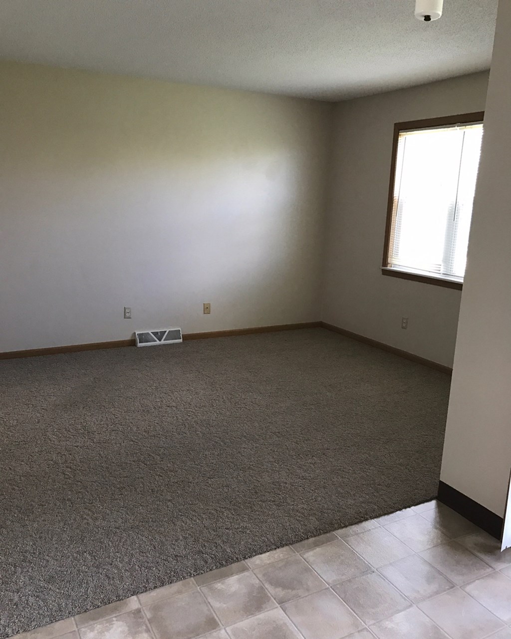an empty living room with carpet and a window
