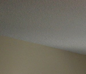 416 Holly Lane, #13-16 3 Beds Townhouse for Rent - Photo Gallery 5