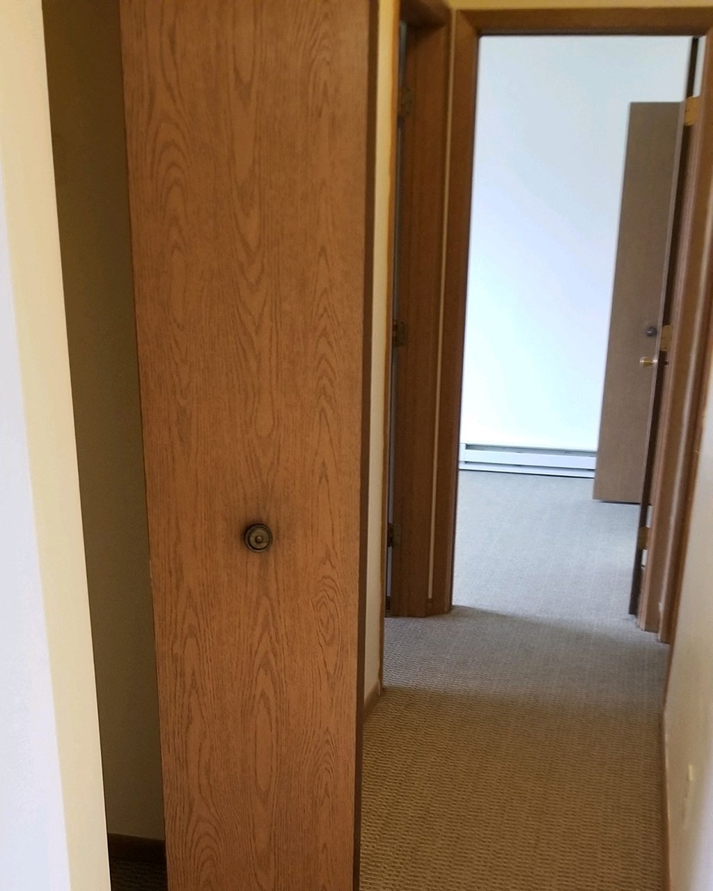 a closet with a door open and a carpeted floor