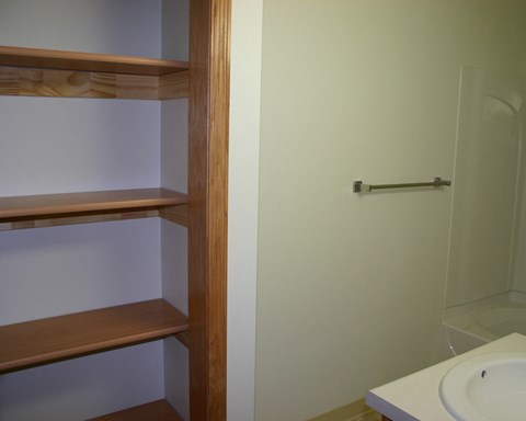 a bathroom with shelves and a sink and a shower