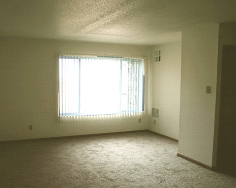 an empty room with a window and a carpeted floor