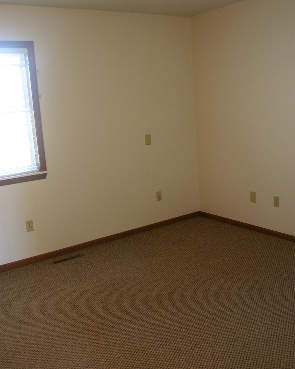 a room with a carpet and a window