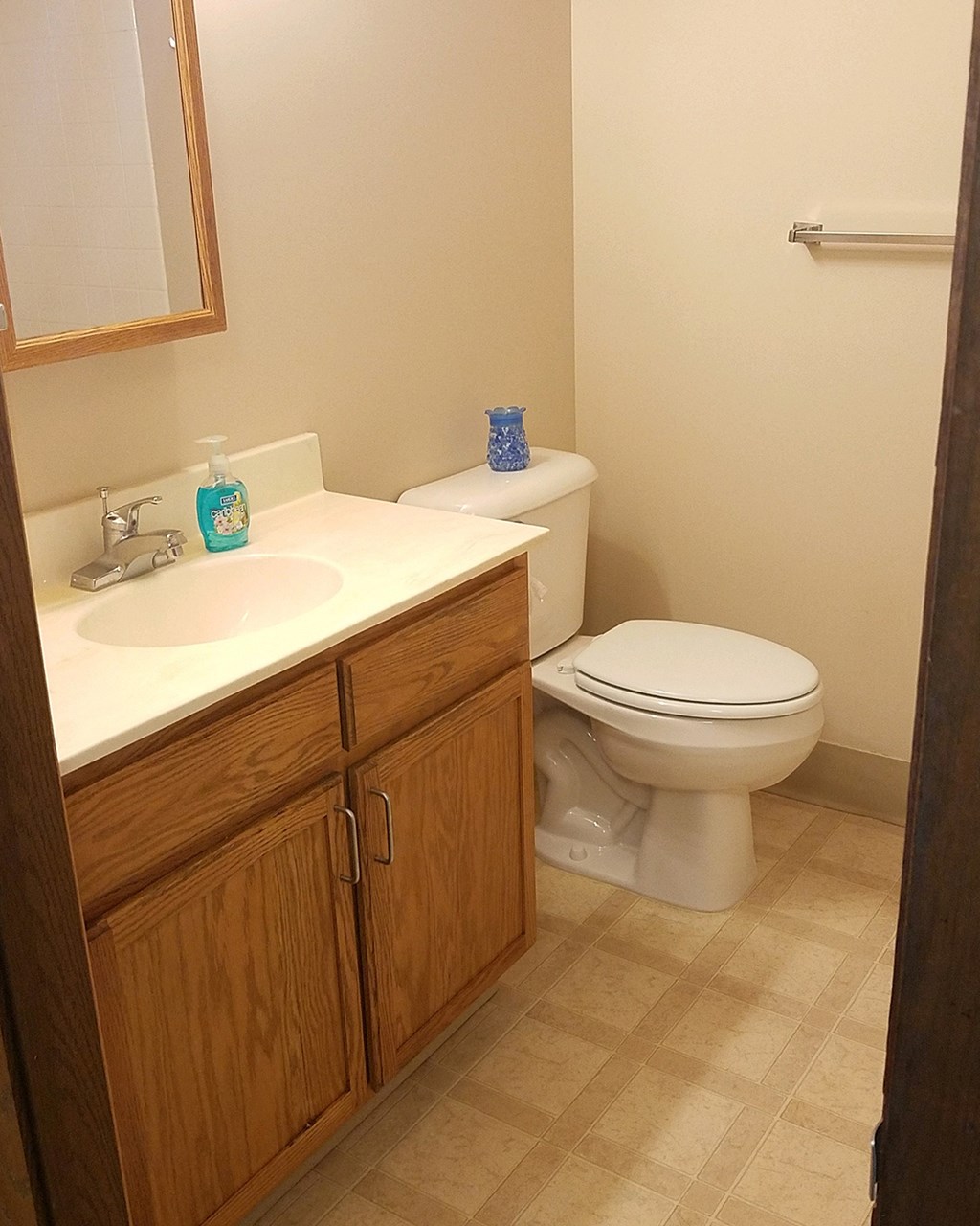 a bathroom with a toilet and a sink and a mirror
