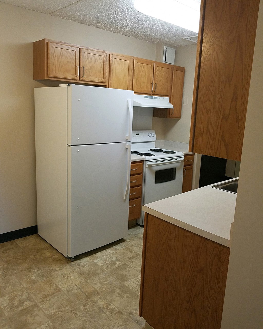 a kitchen with a refrigerator and a stove and cabinets