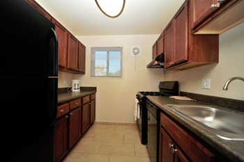 Stainless Steel Sink With Faucet at Overlook Apartments, Hyattsville, MD, 20782