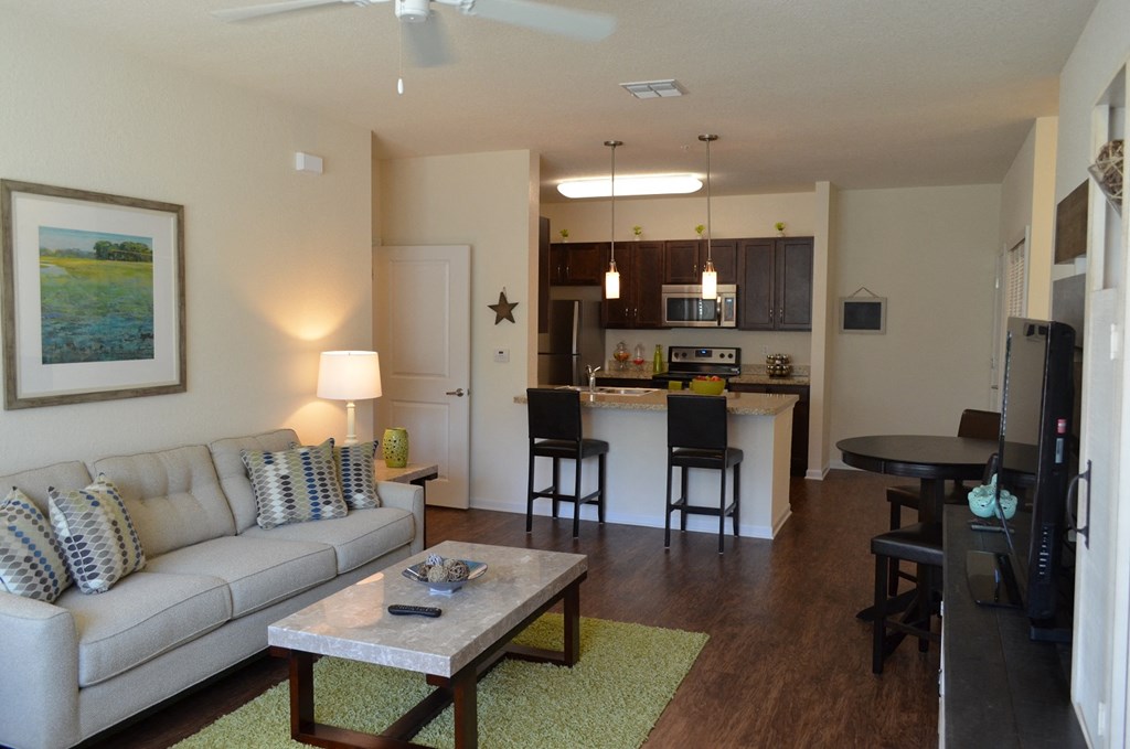 Living and Dining Room