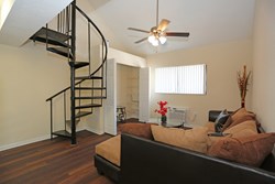 Apartments For Rent Near Usf From 455 Rentcafe