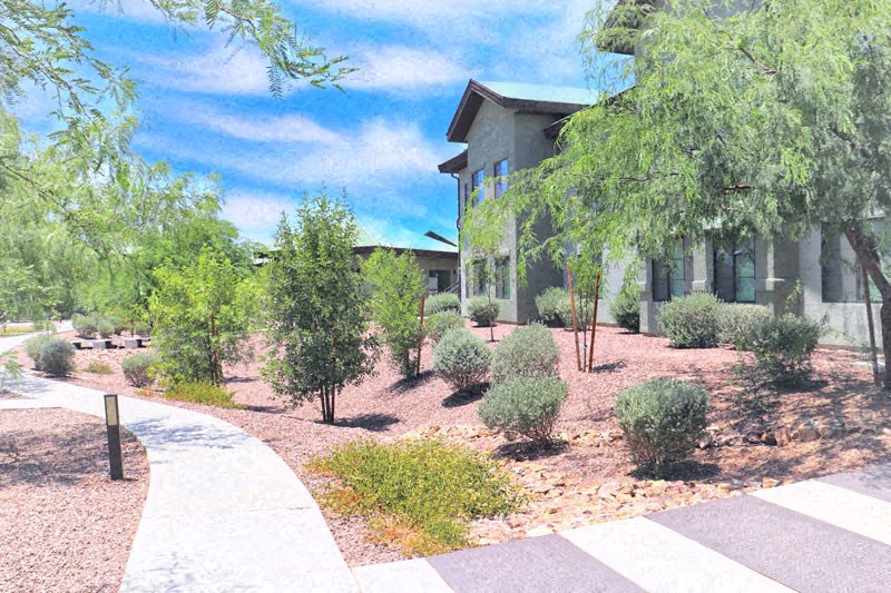 The Place At Presidio Trails