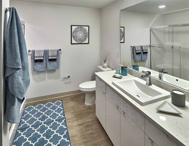 3801 Stone Way North Studio-2 Beds Apartment for Rent - Photo Gallery 5