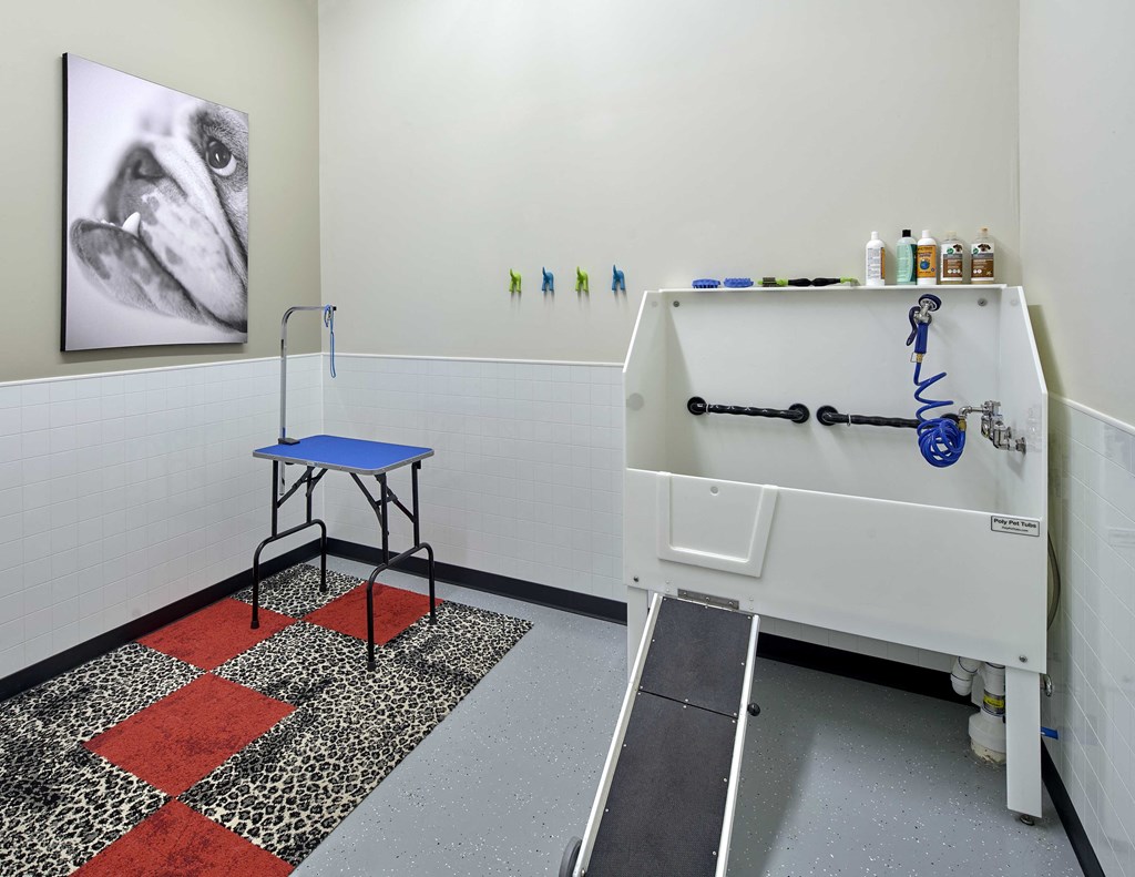 The Bowman Seattle WA Dog Wash