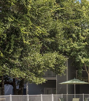 Cheap 2 Bedroom Apartments In Mobile Al.Autumn Woods Apartments 101 ... Cheap 2 Bedroom Apartments In Mobile Al.Autumn Woods Apartments 101 ...