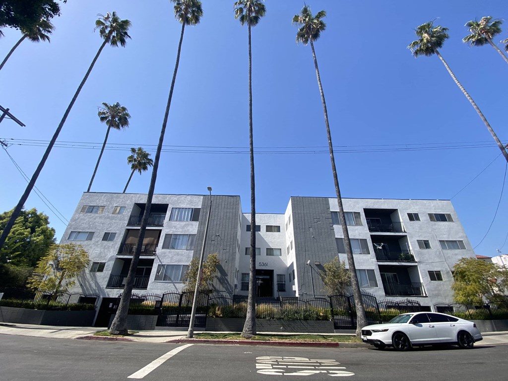 a white car parked in front of a building with palm trees