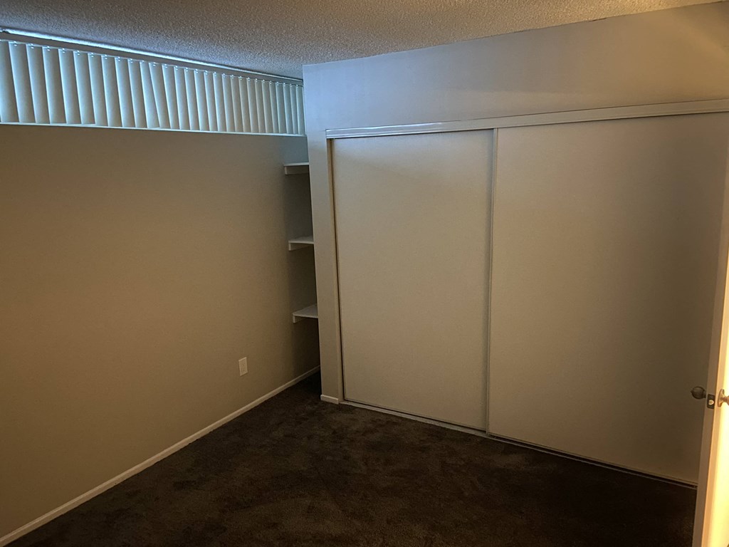 a room with a closet and a carpeted floor
