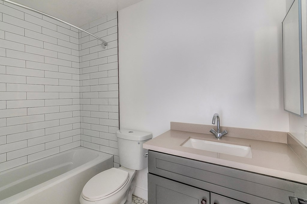 a bathroom with a sink and a toilet and a tub