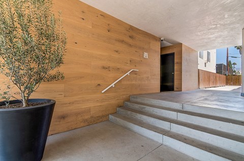 a large potted plant sits next to a staircase in front of a wooden wall