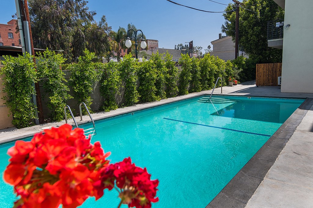 a swimming pool with red flowers next to it