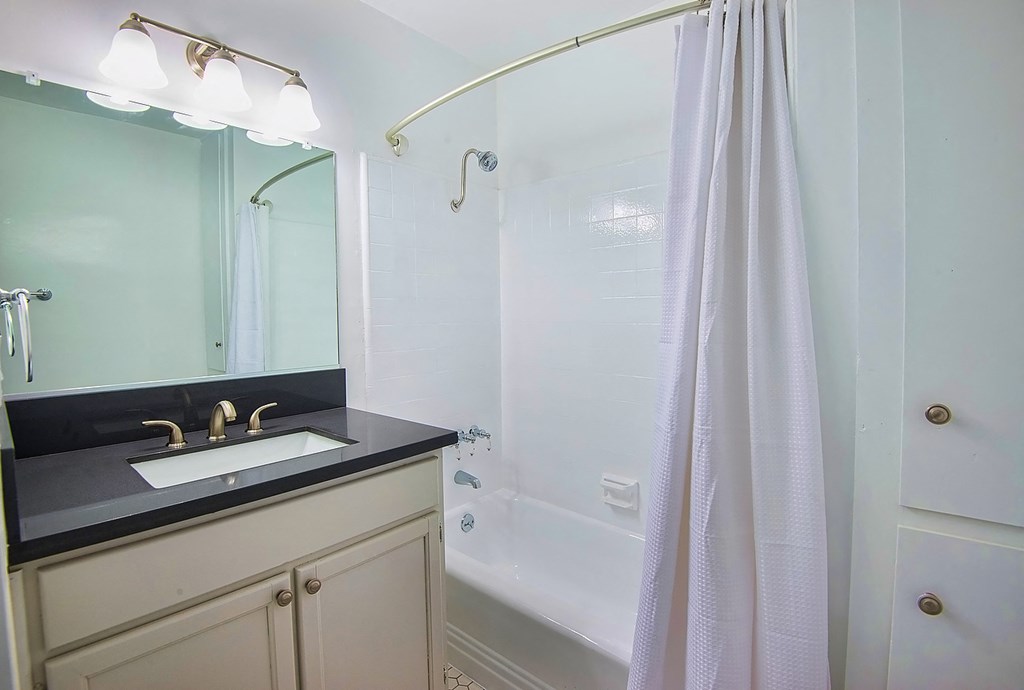 a bathroom with a sink and a shower and a mirror