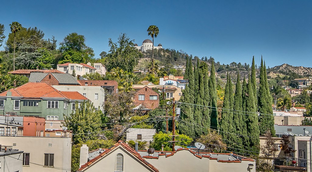 a city with buildings and trees and a mountain in the background