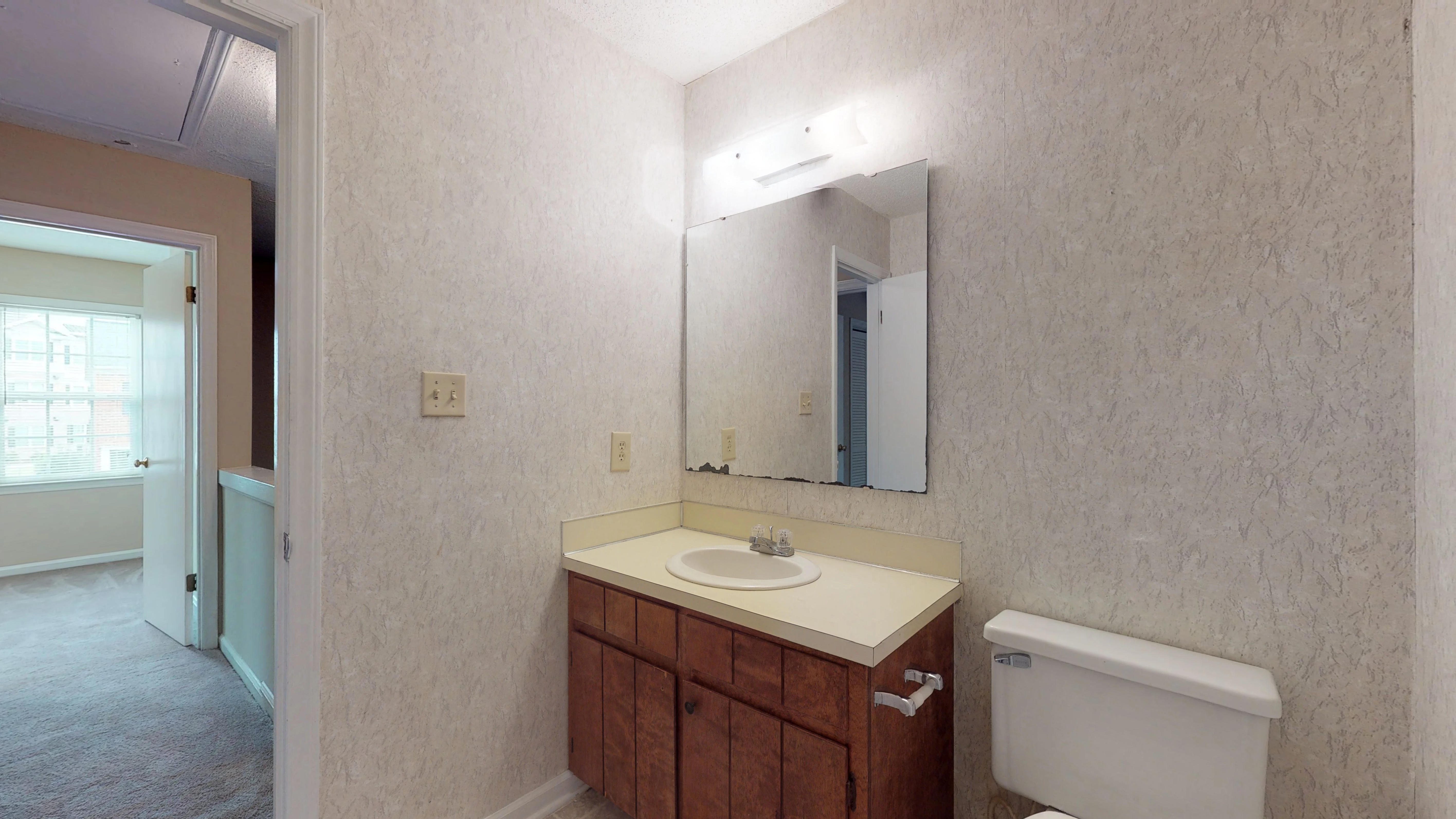 a bathroom with a sink and a mirror and a toilet